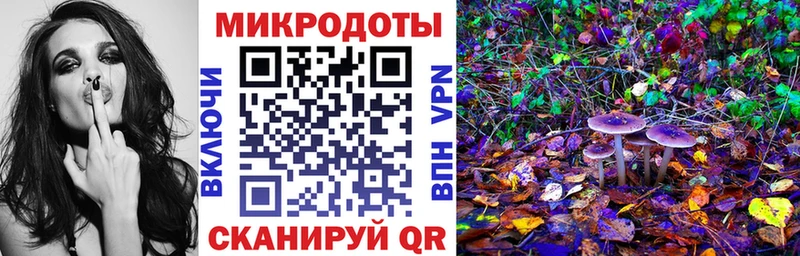 наркота  Кандалакша  Псилоцибиновые грибы ЛСД 